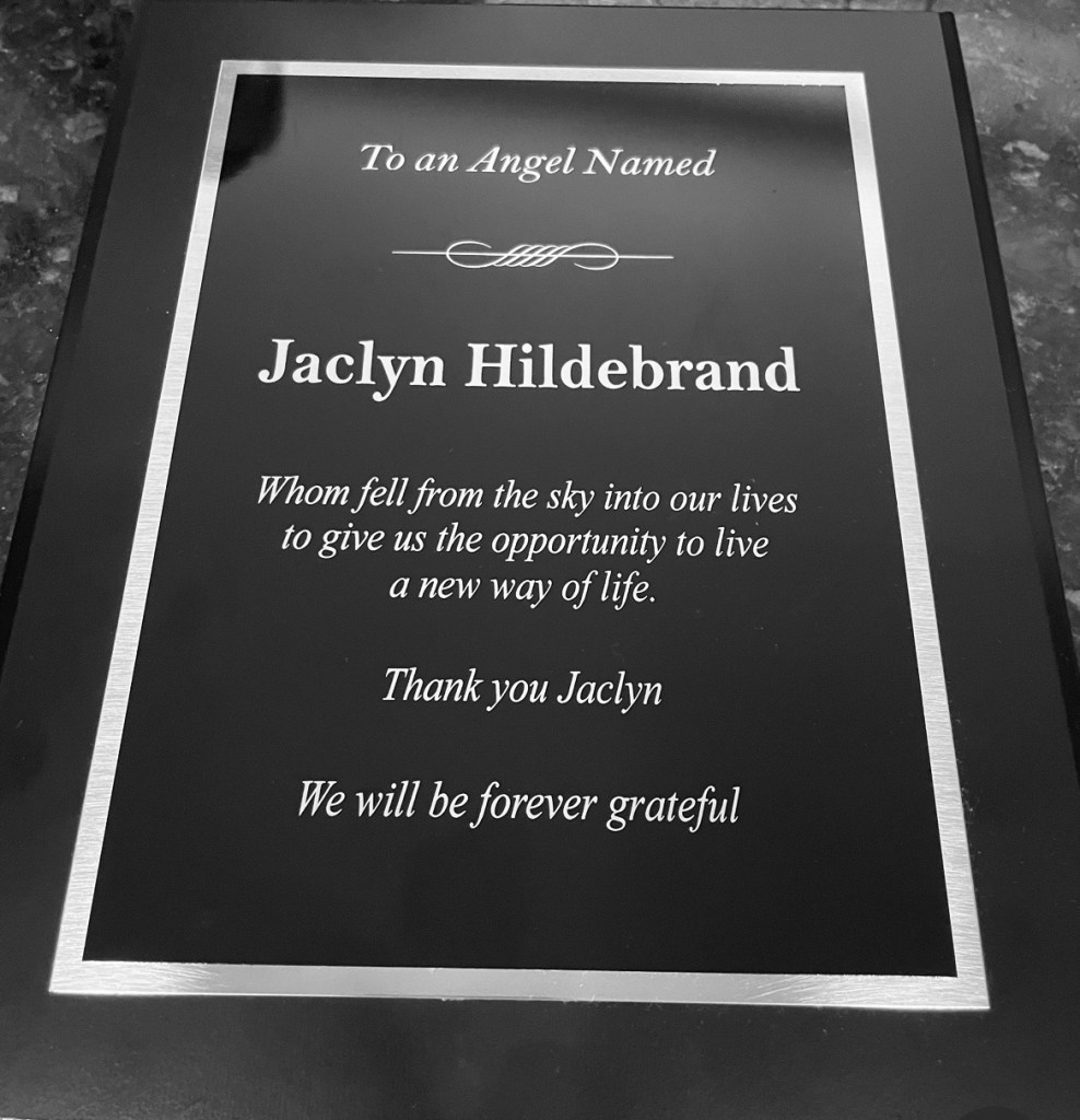 A gift from my high risk, high need Drug Court Defendants. I see you Sweet Pea, hope you’re doing just fine!